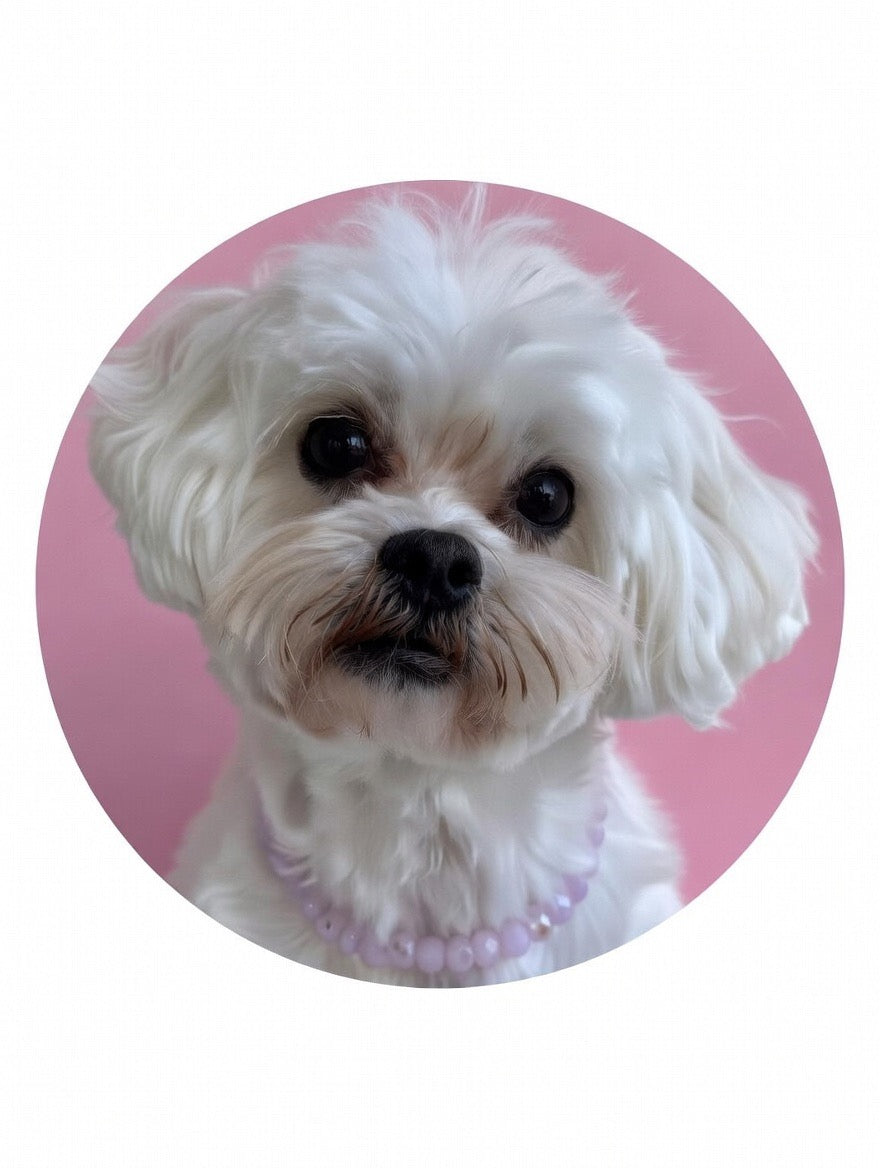 Lulu Love Collection